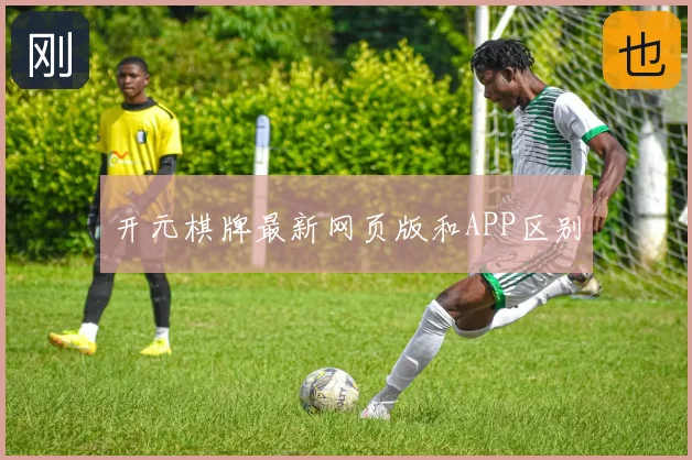 开元棋牌最新网页版和APP区别